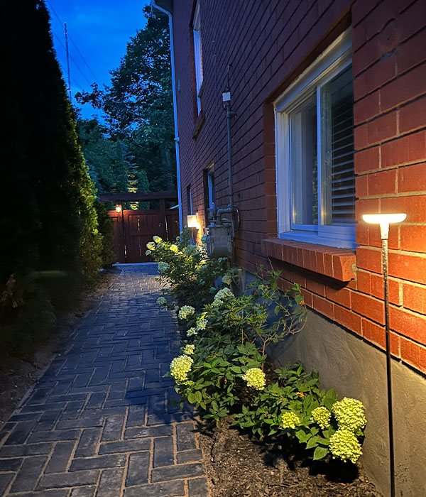 Lights on the side walkway at night