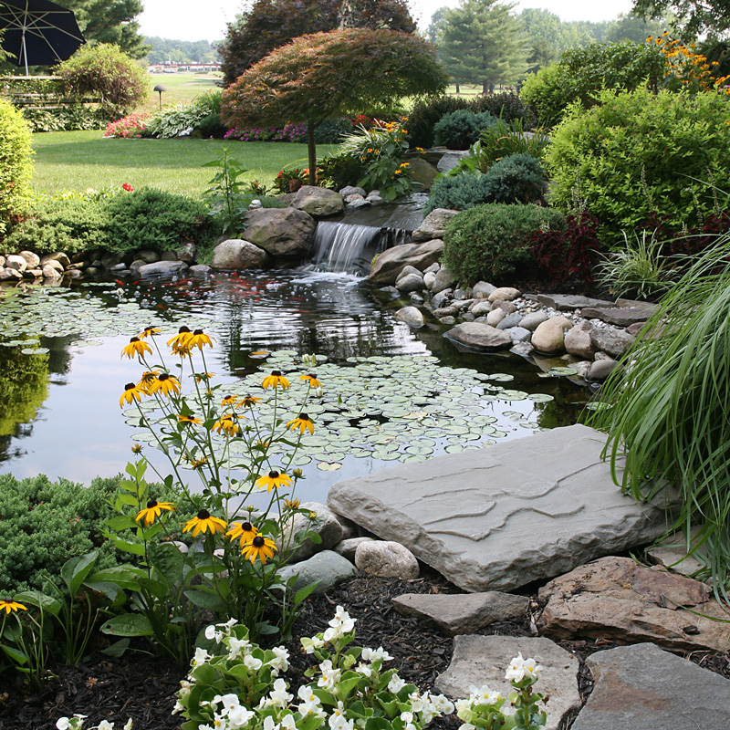 landscaping pond