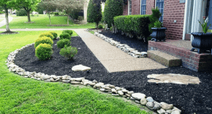 Front yard landscape with mulch beds, shrubs, and a stone-edged walkway
