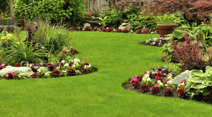 Lawn bordered by curved flower beds with vibrant plants