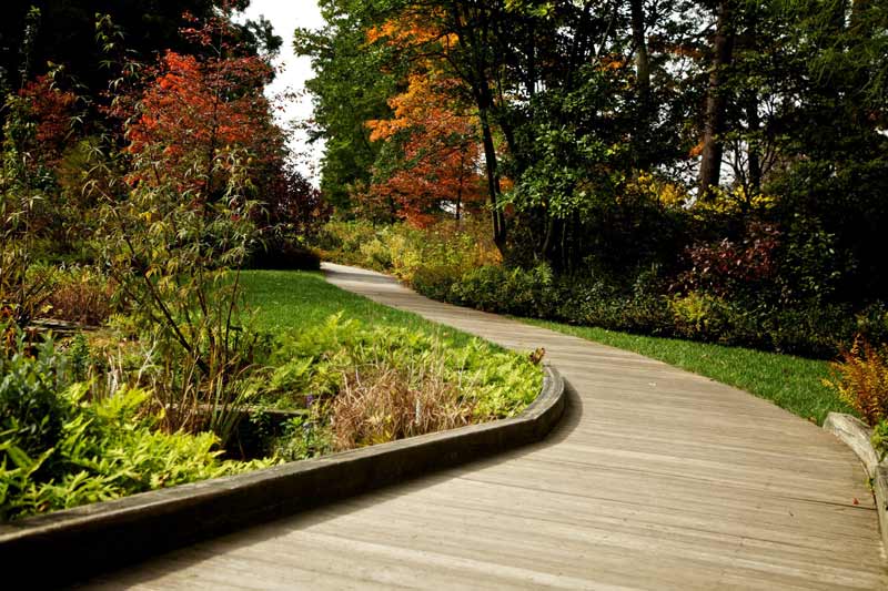 Curved wooden walkway through a landscaped garden